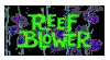 reef blower reef blower